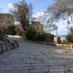 jaffa