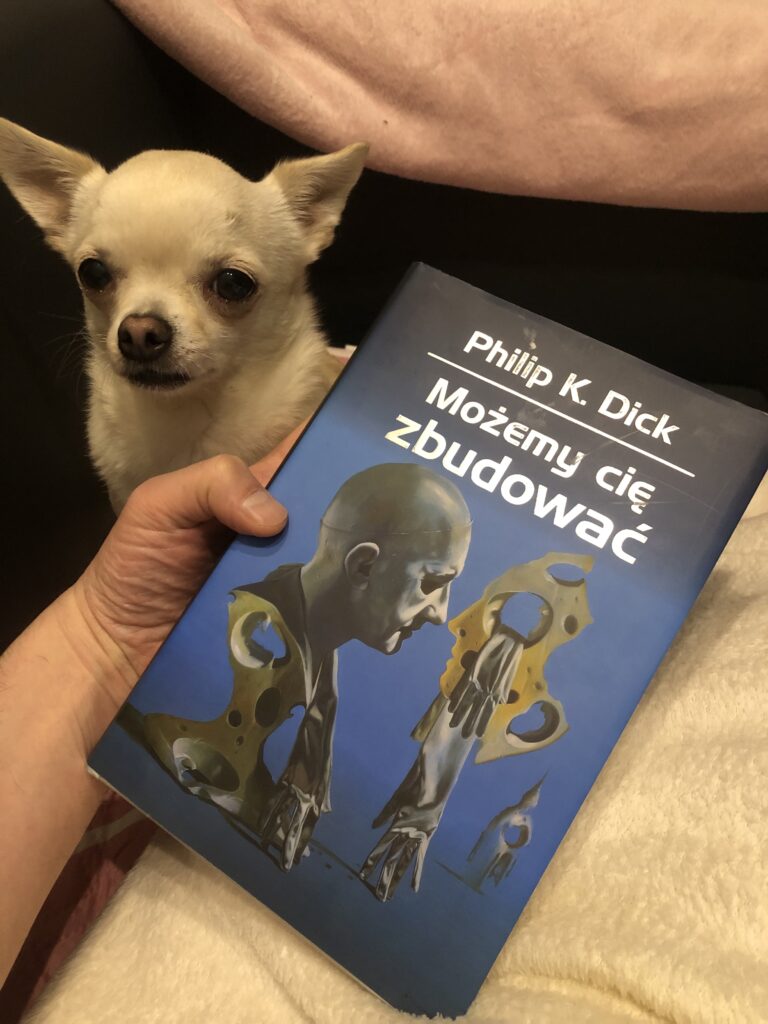 Możemy cię zbudować